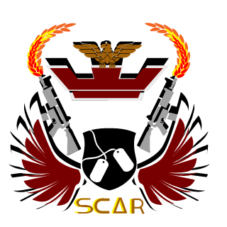 ZzBattleScarzZ's emblem