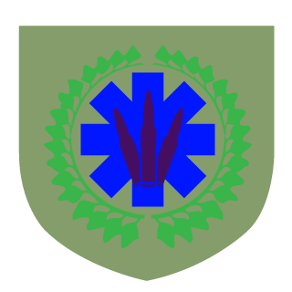 69a67b3839eaa190's emblem