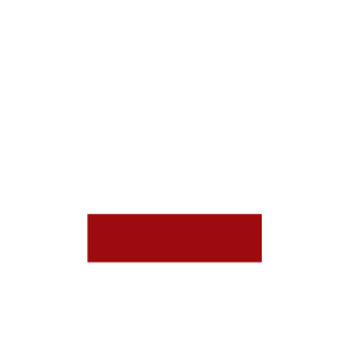 0MICRO0's emblem