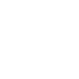 PaVlik_228_09's emblem