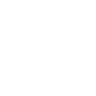 syntexgamingv10's emblem