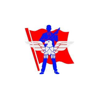 Dvis20's emblem