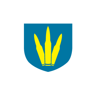 SeeThroughWalls's emblem