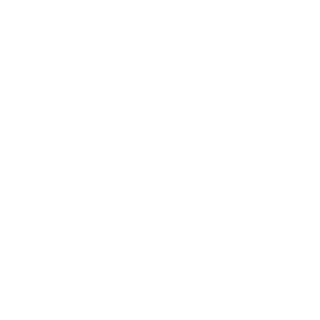NavR4bbit's emblem