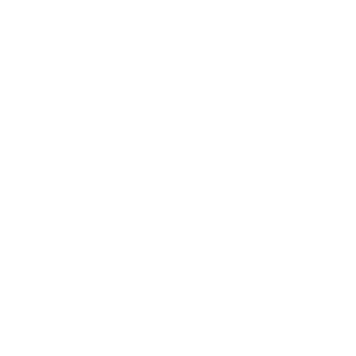 SrLeo35's emblem