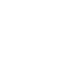 Nazyg's emblem