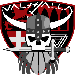 VALHALLA DEATH SQUAD's emblem