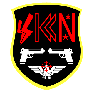Ps3ik0's emblem