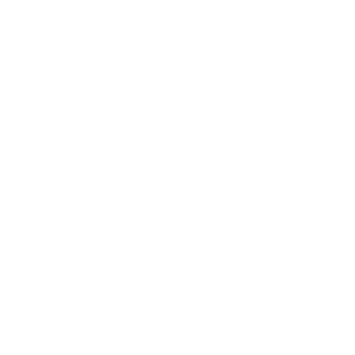 SK_Rianans's emblem