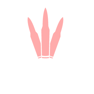 HiroPr0tagonist's emblem