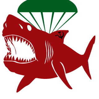Got Your 6!'s emblem