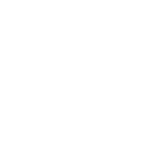 StateZer0_Media's emblem