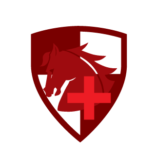 Noob_Nuuu's emblem