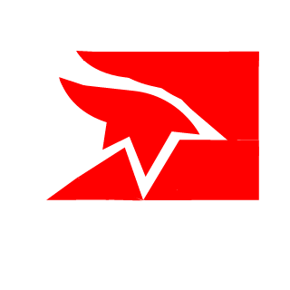 PakistaniPerson1's emblem
