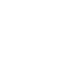 DreamtimeDrive's emblem