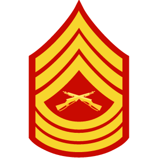 CyberPower30202's emblem