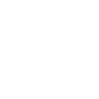 rook-0404's emblem