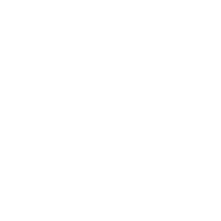 Lfybbk_tmn's emblem