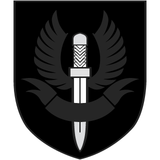 xSaniratox's emblem