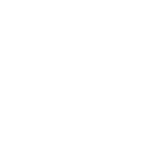 LYQING's emblem