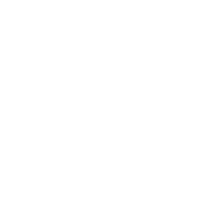 SKN8's emblem