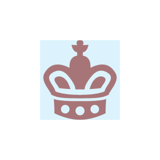 DasTech5's emblem