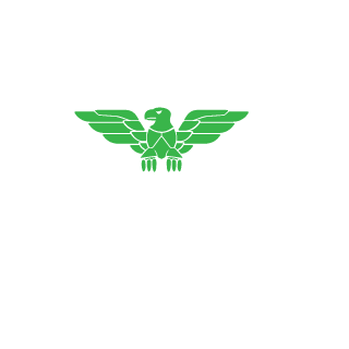 12Foxi12's emblem