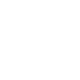 Mr_Raider_2021's emblem