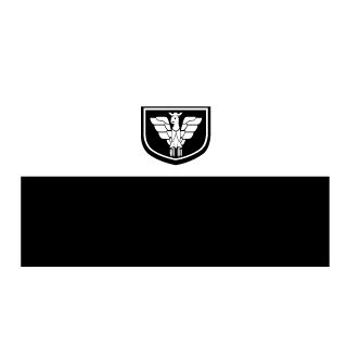 Bartek_Mechanik's emblem