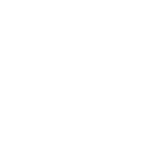 DOOM2dotEXE's emblem