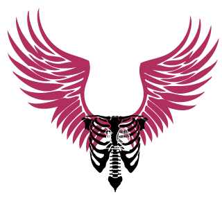 RotcivSMessi's emblem