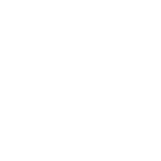 DrMouse196's emblem