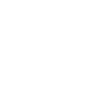 203rds's emblem