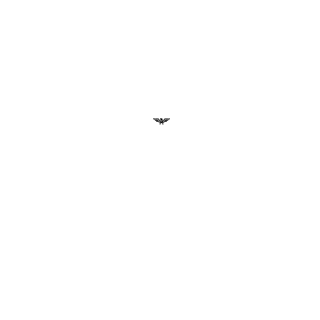 rsbdiskordia's emblem