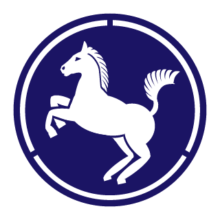 Cpt_SimYeong's emblem