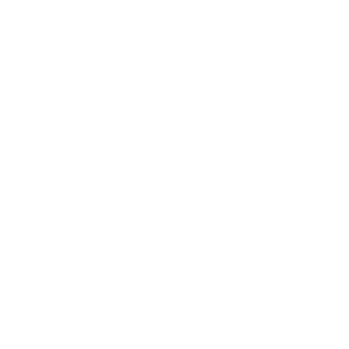 BCG42's emblem