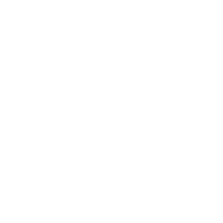 AN-94KIller's emblem