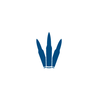 19901fc81d5a2451's emblem