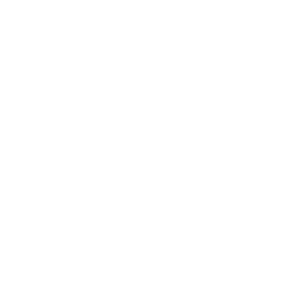 ActionBujardo's emblem