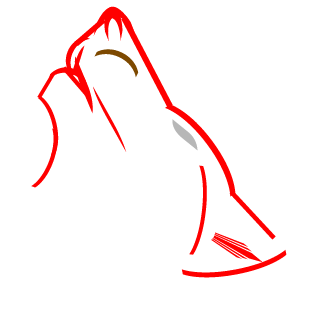 RobiOs's emblem