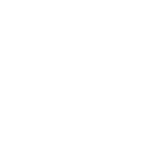 PesAYE228's emblem