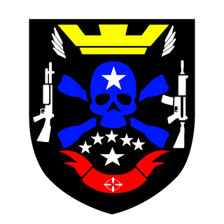 LEVsekiro's emblem