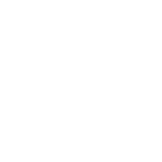 wraf-simons's emblem