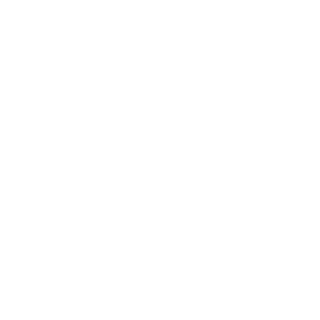 KRLeArmyZ's emblem