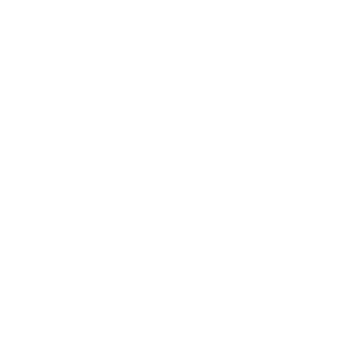 Filt219's emblem