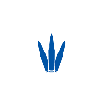 deathbomb007's emblem