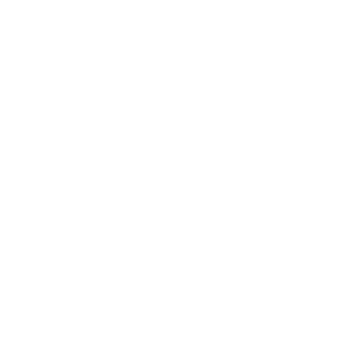 -_L33_P4i_Long_-'s emblem