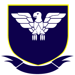 st10c's emblem