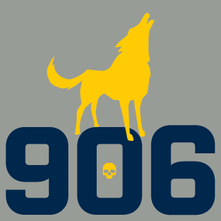 irlcyberbully's emblem