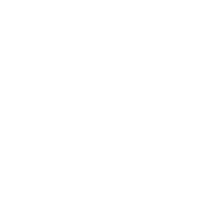 iAstroKing-'s emblem
